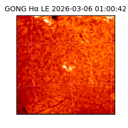 gong - 2026-03-06T01:00:42