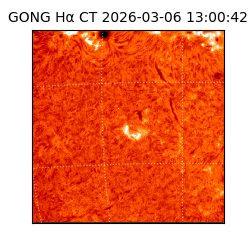 gong - 2026-03-06T13:00:42