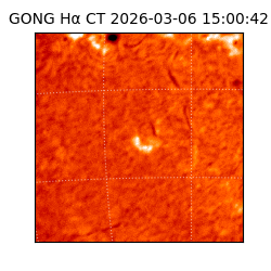 gong - 2026-03-06T15:00:42