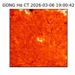 gong - 2026-03-06T19:00:42