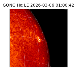 gong - 2026-03-06T01:00:42