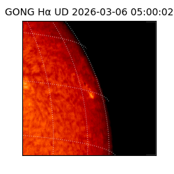 gong - 2026-03-06T05:00:02