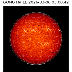 gong - 2026-03-06T03:00:42