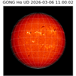 gong - 2026-03-06T11:00:02