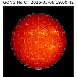 gong - 2026-03-06T19:00:42