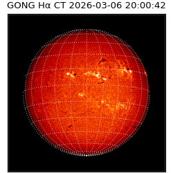 gong - 2026-03-06T20:00:42