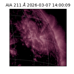 saia - 2026-03-07T14:00:09.629000