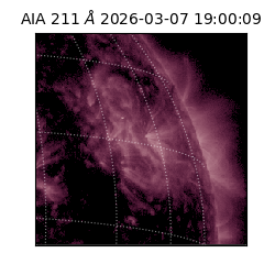 saia - 2026-03-07T19:00:09.624000