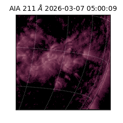 saia - 2026-03-07T05:00:09.623000