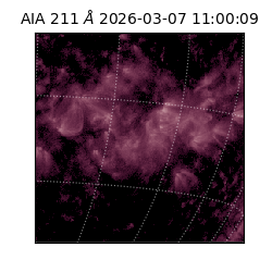 saia - 2026-03-07T11:00:09.629000