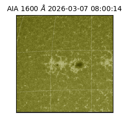 saia - 2026-03-07T08:00:14.123000