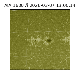 saia - 2026-03-07T13:00:14.124000