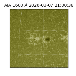 saia - 2026-03-07T21:00:38.123000