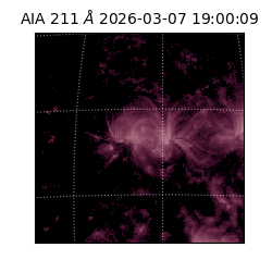 saia - 2026-03-07T19:00:09.624000