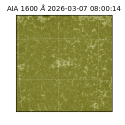 saia - 2026-03-07T08:00:14.123000