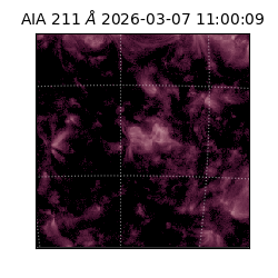 saia - 2026-03-07T11:00:09.629000