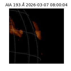 saia - 2026-03-07T08:00:04.842000