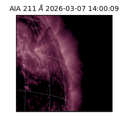 saia - 2026-03-07T14:00:09.629000