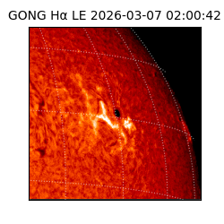 gong - 2026-03-07T02:00:42