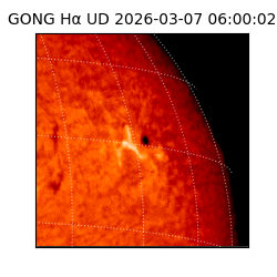 gong - 2026-03-07T06:00:02
