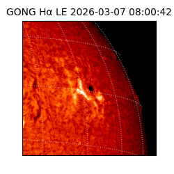 gong - 2026-03-07T08:00:42