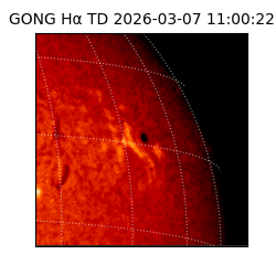gong - 2026-03-07T11:00:22