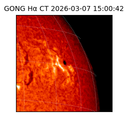 gong - 2026-03-07T15:00:42