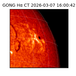 gong - 2026-03-07T16:00:42