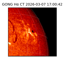 gong - 2026-03-07T17:00:42