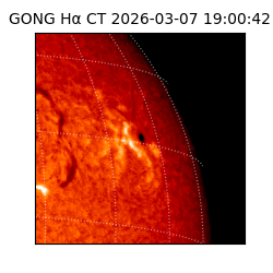 gong - 2026-03-07T19:00:42