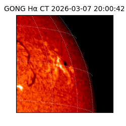 gong - 2026-03-07T20:00:42