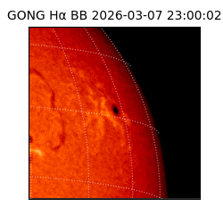 gong - 2026-03-07T23:00:02