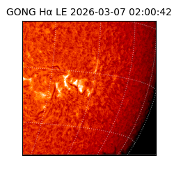 gong - 2026-03-07T02:00:42
