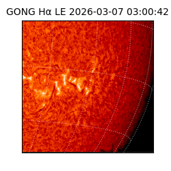 gong - 2026-03-07T03:00:42