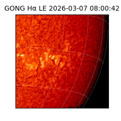 gong - 2026-03-07T08:00:42