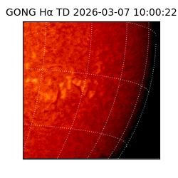 gong - 2026-03-07T10:00:22