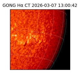 gong - 2026-03-07T13:00:42