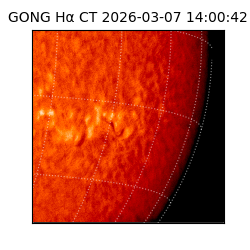gong - 2026-03-07T14:00:42