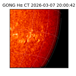 gong - 2026-03-07T20:00:42