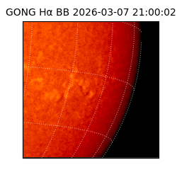 gong - 2026-03-07T21:00:02