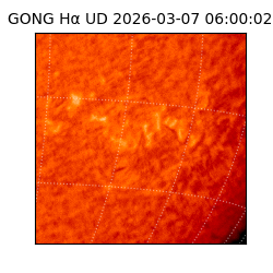 gong - 2026-03-07T06:00:02