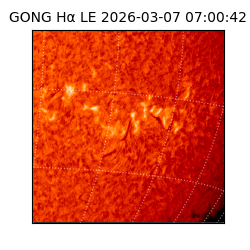 gong - 2026-03-07T07:00:42