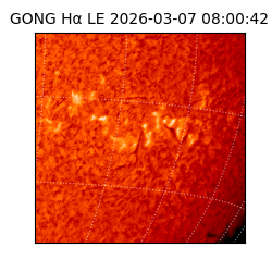 gong - 2026-03-07T08:00:42