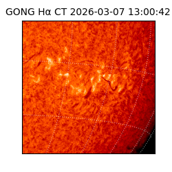 gong - 2026-03-07T13:00:42