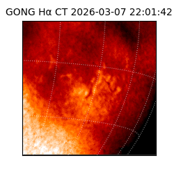 gong - 2026-03-07T22:01:42