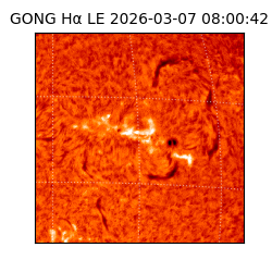 gong - 2026-03-07T08:00:42