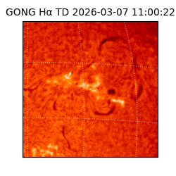 gong - 2026-03-07T11:00:22