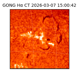 gong - 2026-03-07T15:00:42
