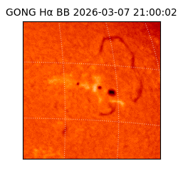 gong - 2026-03-07T21:00:02