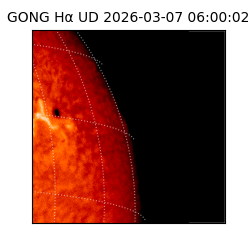 gong - 2026-03-07T06:00:02